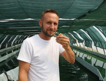 producteur-spiruline-du-roussillon_orig