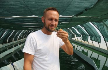 producteur-spiruline-du-roussillon_orig